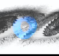 Joe Orton's What the Butler Saw - Accommodation Guide