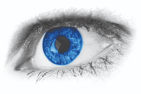 Joe Orton's What The Butler Saw - Accommodation Guide 0