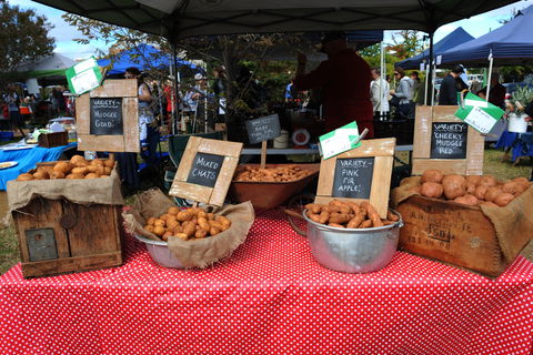 Lawson Park Markets - Accommodation Asia 0