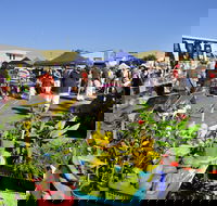 Maclean Community Monthly Markets - Accommodation Guide