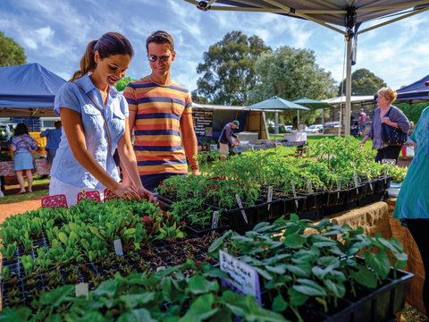 Margaret River Farmers Market - Accommodation Asia 1