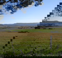 Milton Village Showground Markets - Accommodation Guide