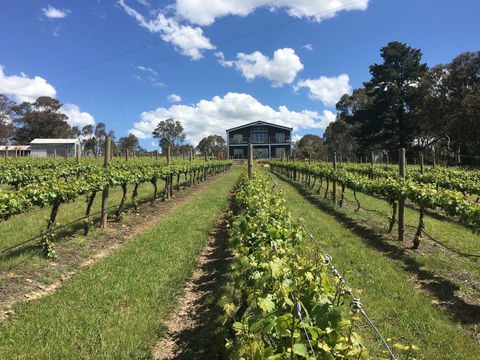 Mortimer's Diploma Of Taste - Accommodation Guide 0