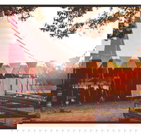 Mullum Circus Festival - Accommodation Asia