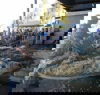 Narrabri Show - Accommodation China