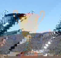 Nimbin Poetry World Cup - Accommodation Guide