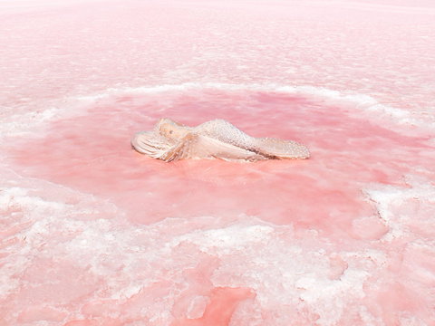 Oceans From Here - Accommodation Asia 0