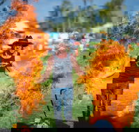 Outback Festival - Accommodation Guide