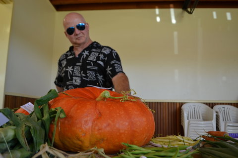 Pambula Show - Accommodation Asia 1