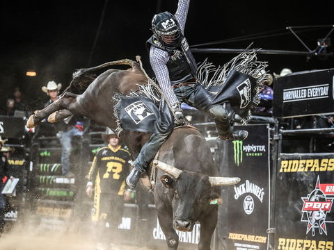 PBR Hawkesbury Stampede - Accommodation Asia 0
