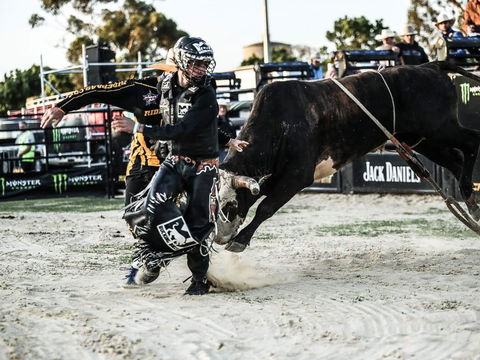 PBR Hawkesbury Stampede - Accommodation Asia 2