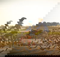 Rutherglen Gourmet Amble - Accommodation Guide