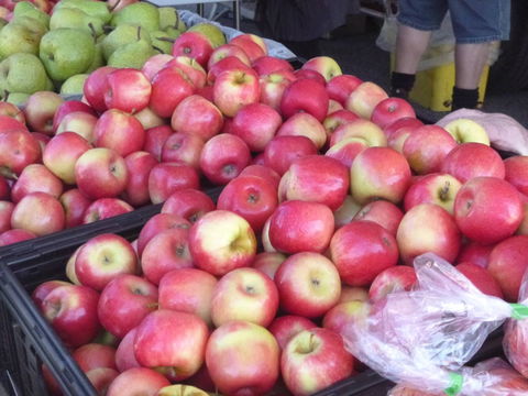 Stirling Farmers Market - Accommodation China 2