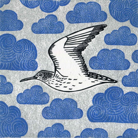 The Overwintering Project: Kingborough - Accommodation China 0