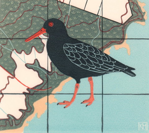 The Overwintering Project: Kingborough - Accommodation China 2