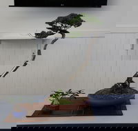 Wauchope Bonsai Workshop Group - Accommodation Guide