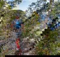 Wild Earth Coastal High 50 - Accommodation China