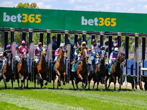 Bet 365 Caulfield Cup Day At Wodonga Race Course - Accommodation Asia 1