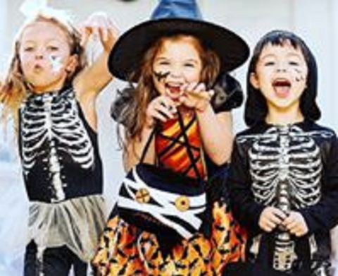 Boo! At The Zoo! - Accommodation Asia 2