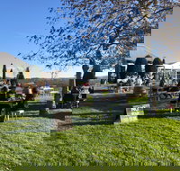 Cheese and Wine Experience - Accommodation Asia