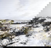 Christmas in July at Cradle Mountain Hotel 2020 - Accommodation Guide