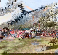 Coffs Harbour International Buskers and Comedy Festival - Accommodation Guide