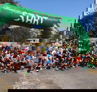Coffs Harbour Running Festival - Accommodation Guide