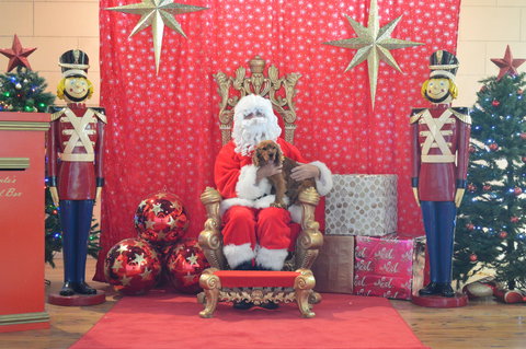 Community Christmas Party And Carols By Candlelight - Accommodation Asia 2