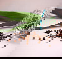 Cooking with Australian Indigenous Spices cooking class - Accommodation Guide