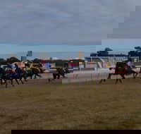 Corowa Horseraces - Accommodation China