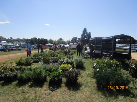 Crookwell Rotary Swap Meet And Market Day - Accommodation Asia 1