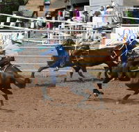 Dalgety Team Penning - Accommodation Guide