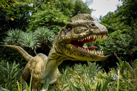 Dino Lab At Melbourne Zoo - Accommodation Asia 0