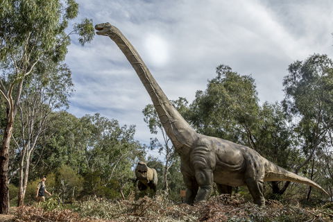 Dino Lab At Melbourne Zoo - Accommodation Asia 1
