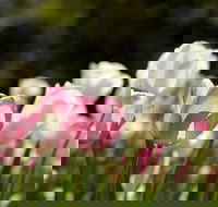 Floriade Reimagined - Accommodation Guide