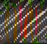 Food for Good Festival - Accommodation China