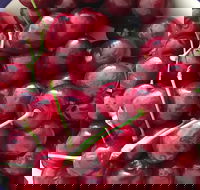 Griffith Rotary Market - Accommodation Guide