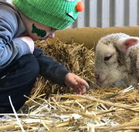 Horsham Agricultural Show - Accommodation Guide