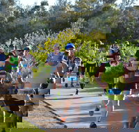 Husky Half Running Festival - Accommodation Guide