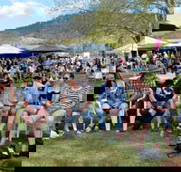 Jamming at Jingellic - Accommodation Guide