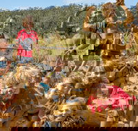 Mini Muddies Obstacle Challenge at Bunnamagoo Estate - Accommodation China