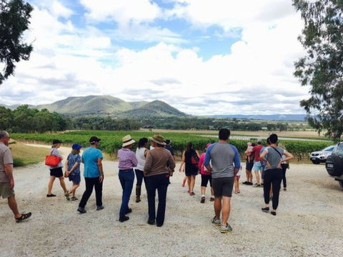 Mudgee Farm Walks - Accommodation China 1