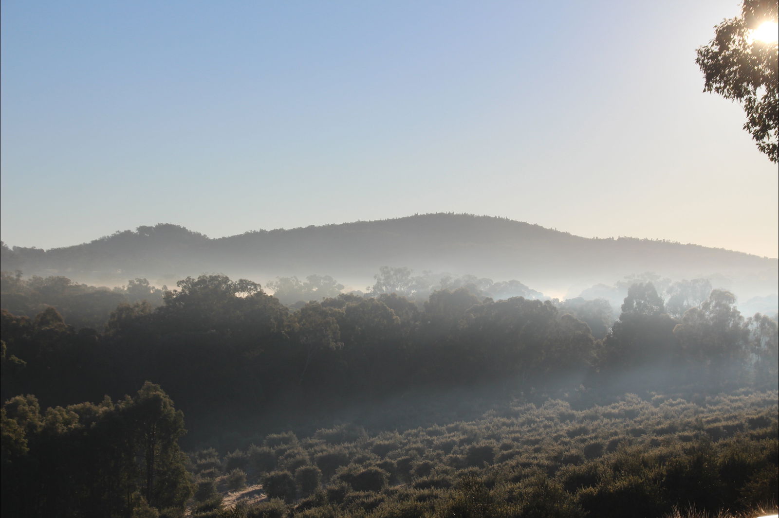Mullamuddy NSW Accommodation Asia