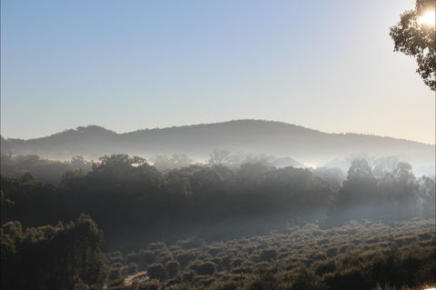 Mudgeeque - Accommodation Asia 0
