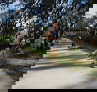 Ned Kelly Chase - Accommodation Asia