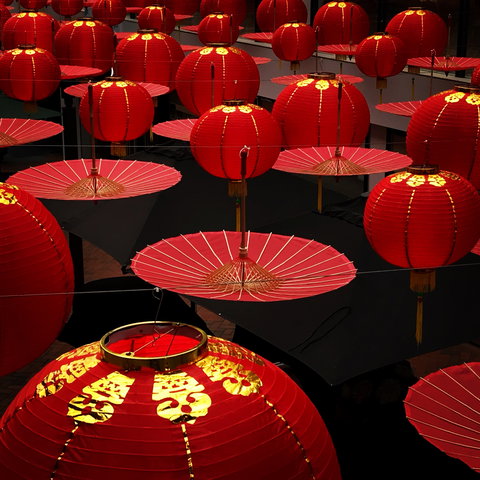 Online Live Streaming Class: Phone Photography Workshop - Accommodation Asia 0