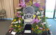 Orchids Out West - thumb 0