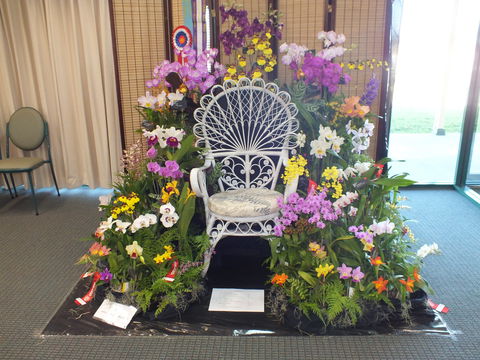 Orchids Out West - Accommodation Asia 0