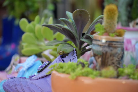 QCWA Sunday Markets - Accommodation Guide 1