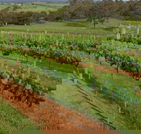 Razorback Ridge Wines Open Weekends - Accommodation Asia